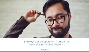 Top 6 Accounting Tips for Single Member LLCs