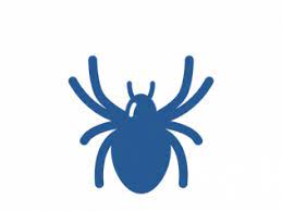 We provide comprehensive inspections to residential & commercial properties. Pest Control Service Rat Removal Tucson Oro Valley Oracle Az