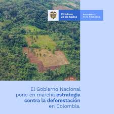 El colectivo anonymous en colombia también atacó la página del senado y el ejército. Presidencia De La Republica De Colombia Luchacontraladeforestacion El Presidente Ivan Duque Lanzo Una Gran Ofensiva Que Busca Detener El Avance De La Deforestacion En Colombia Y Erradicar Factores Asociados A