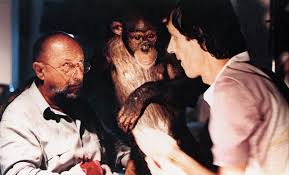 The Insanity of Dario Argento: Phenomena - Morbidly Beautiful