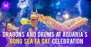 Nestled in the heart of kuala lumpur, aquaria klcc is the most significant marine life oceanarium within walking distance from the iconic twin towers. Dragons And Drums At Aquaria Klcc S Gong Sea Fa Cai Celebration A Wonderfly Blog