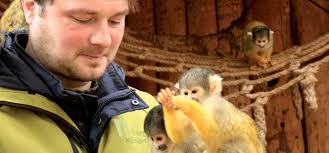 Tiergarten Nürnberg