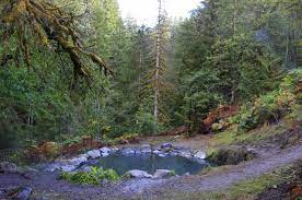 Maybe you would like to learn more about one of these? Gamma Hot Springs 6 Other Beautiful Washington Hot Springs