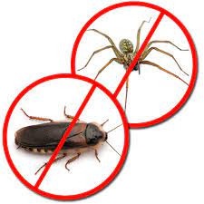 Maybe you would like to learn more about one of these? Emergency Pest Control Services Longwood Fl 32779 Pest Exterminators Near Me