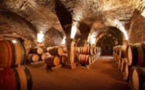 Visit Maison Joseph Drouhin Oenotheque Beaune Foreign Travel Different Wines