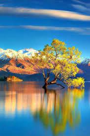 Mamoun Khateeb On Twitter Beautiful Landscapes Nature Pictures Nature Photography
