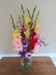 Bouquet Of Gladiolus In Memory Of My Grandmother Gardening Garden Diy Home Flowers Roses Nature Landscaping Horticulture Gladiolus Flowers Bouquet