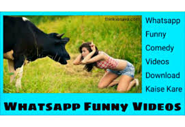 Check spelling or type a new query. Whatsapp Funny Comedy Videos Free Download Kaise Kare Top 10 Websites