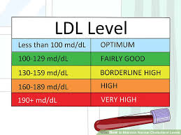 4 ways to maintain normal cholesterol levels wikihow