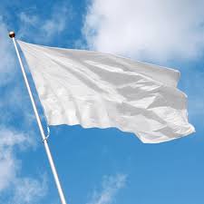 Keluarga di kota bharu kibar bendera putih selepas empat hari tiada makanan. What Is The White Flag Campaign And Where To Get Help In Malaysia Buro 24 7 Malaysia