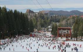 Avem pitoreşti drumuri de munte pe traseele muntelui postăvarul, munte cu o altitudine de. Webcam Partia Bradul Camera Live Partia Bradul Live Poiana Brasov