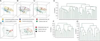 Epithelial Ovarian Cancer The Molecular Genetics Of Epithelial Ovarian Cancer Annals Of Oncology