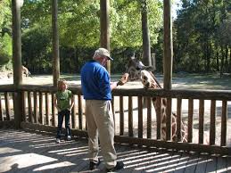 Things To Do In Columbia Sc Top 10 Things To Do In Columbia Sc South Carolina Vacation Columbia South Carolina Travel South