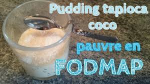Video Recette Du Pouding Pudding Au Tapioca Et A La Noix De Coco Pauvre En Fodmap Vous Allez Voir Dans Cette Video Le Rectt Pudding Tapioca Pouding Pudding