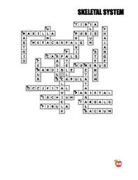 Click any square in the puzzle to get started. Skeletal System Crossword Free By Ba Crosswords Tpt