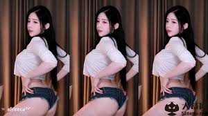 韩国BJ黑珍22年11月直播热舞合集【18V3.5G】_大幕网