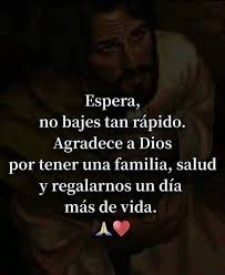QUÉ ES LA FONTANELA? (MOLLERA) El nombre correcto de la mollera es  fontanela. La fontanela es el área de la cabeza en donde los huesos del  cráneo aún no se han juntado (