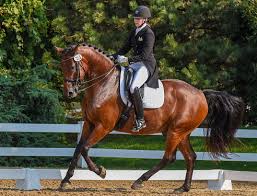 Dressage Foundation Awards $10,000 to Instructors