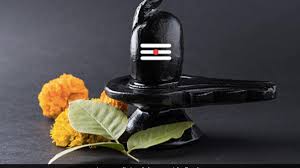 Mahashivratri, an auspicious day for worshipping lord shiva is known to be the most celebrated festival in india. O9fvcjtgzpalim