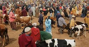 Le Souk Berbere D Azrou Maroc Maroc Photos Voyages Tanger