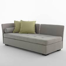 Image result for isolona