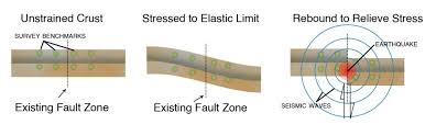 The right diagram shows the acceleration of a roller base building over time. Earthquake Basics Living With Earthquakes In The Pacific Northwest