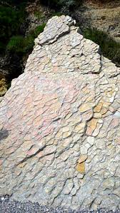 These nodules form by the agglomeration of colloidal precipitates of mn and fe from seawater. Nodule Geology Wikipedia