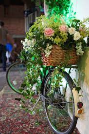 How to plant flowers in a bicycle basket. 400 Flowers Bike Baskets Ideas Flowers Beautiful Flowers Bike With Basket