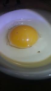 Check spelling or type a new query. Is This Little Silkie Egg Fertile Backyard Chickens Learn How To Raise Chickens