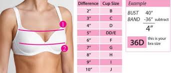 Bra Fitting Guide Bra Fitting Guide Bra Measurements Perfect Bra Size