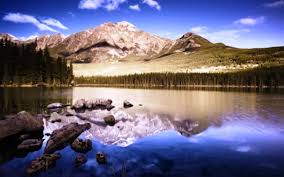 Every beautiful wallpaper is high resolution and free to use. Natures Hd Wallpapers Collection 2020 For Desktop