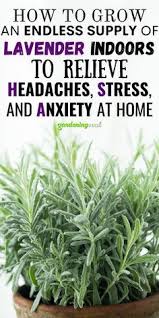 Pin On Funny Animals