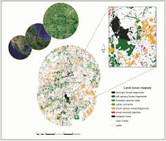 Maybe you would like to learn more about one of these? Isolated Trees And Small Woody Patches Greatly Contribute To Connectivity In Highly Fragmented Tropical Landscapes Sciencedirect