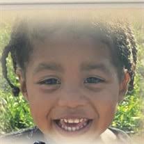 Obituary information for Carlos Milo Avery Torres