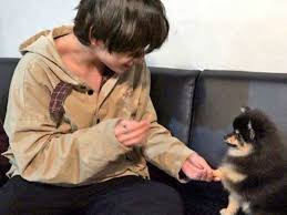 02.09.2021 · jungkook, the group's center, is actually the youngest member of all seven. Throwback When Bts V Was Rejected By His Dog Yeontan For Jimin Watch