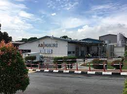 Business entity options in malaysia. Nurin Syahirah Binti Anwar Myeportfolio Utm