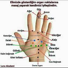 1 serife cyr serifecayir twitter refleksoloji saglik hand therapy