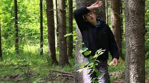 But suppose i wanted to go home, there are still few more things i can do, it requires my knowledge of where in the world i am—say i should know what country i'm in, or at least at which hemisphere of the world i am. Boy Lost In The Woods Episode 1 Stock Video Pond5