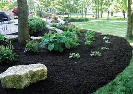 The year i used cedar mulch i had a record crop of beans and tomatoes (2004). Can I Use Black Mulch For Vegetable Garden Oh Gardening