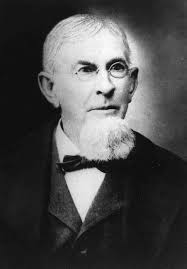 156th NY Vol "Mountain Legion"