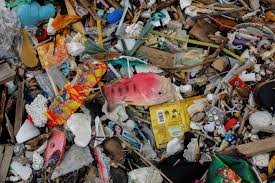 Because of the sheer volume of plastic within the great pacific garbage patch, it should come as no surprise that marine animals that venture into the area end up ingesting plastic. How S The Great Pacific Garbage Patch Cleanup Going World Economic Forum