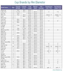 Comparisons Menstrual Cups