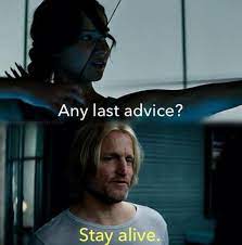 Pin On Hunger Games