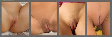Women explain why they don't remove pubic hair. Nude Girls With Blonde Pubic Hair Models Erotic Pictures Hd