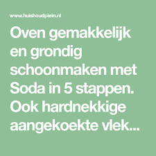 plein schoonmaken grondige schoonmaak bakplaat schoonmaken