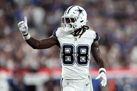 CeeDee Lamb 2024 Player Profile | Reception Perception