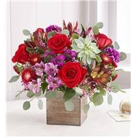 We did not find results for: Everyday Gifts Flowers Las Vegas Nv Same Day Same Day Flower Delivery Delivery