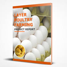 Layer Poultry Farming Project Report For Bank Loan Download Pdf