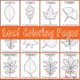Instructions on how to plant flower in six easy steps with titles. Leaf Coloring Pages Worksheets Teaching Resources Tpt