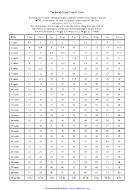 21 competent breed weight chart